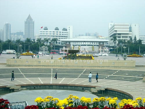 龙岗区.jpg