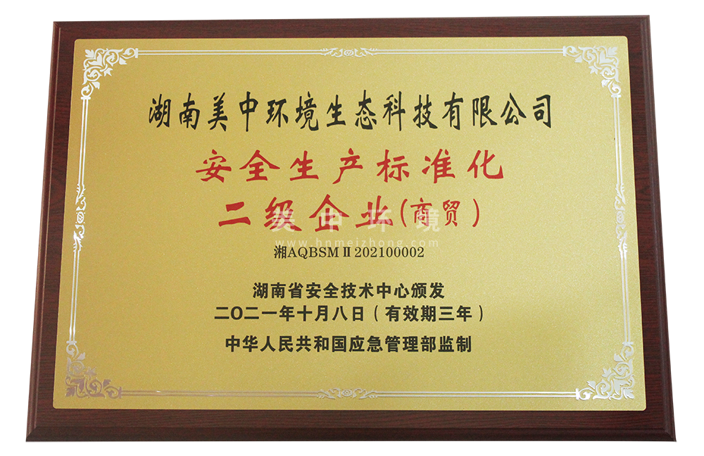 安全生产标准化企业.png